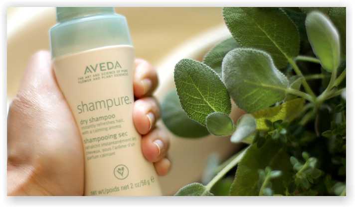 AVEDA Shampure