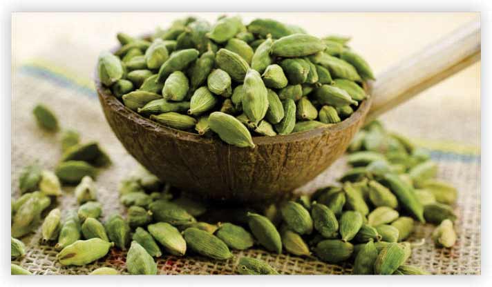 Cardamom