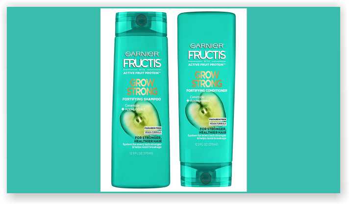 Garnier Fructis