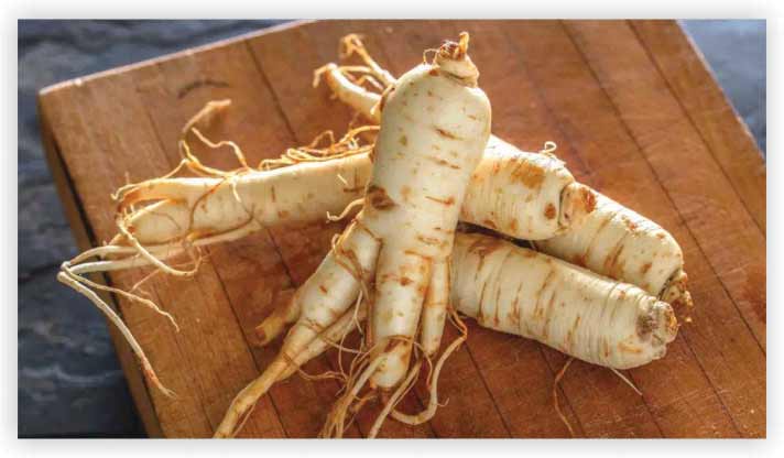 Ginseng