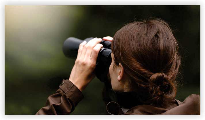 Grab Your Binoculars and Become a Birder