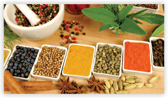 Spice Processing